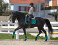 Load image into Gallery viewer, Teal Saddle Pad Set
