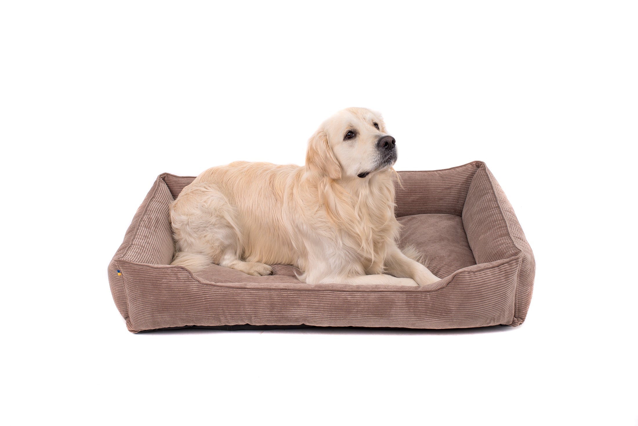 Corduroy Dog Bed Dreamer - Southlake Paws