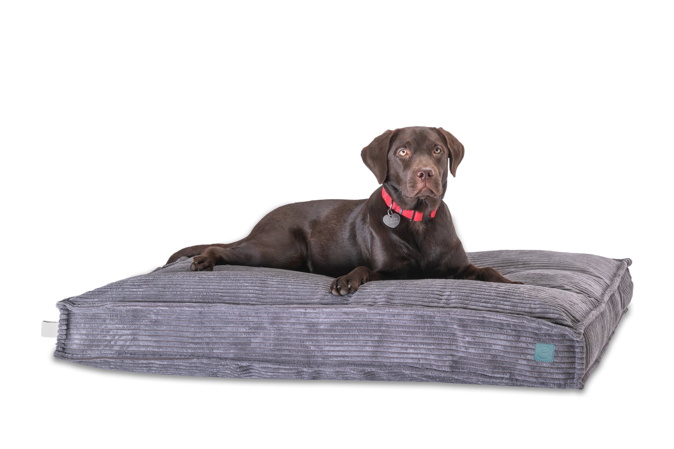 Memory Foam Dog Bed - Southlake Paws