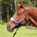 Load image into Gallery viewer, Magna Halter ™ in Blue with Fleece Noseband and Leather Breakaway
