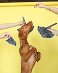 Load image into Gallery viewer, Pet Toy - Stingray - Southlake Paws
