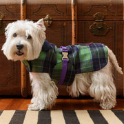 Personalized Bespoke Dog Coat/Raincoat Tartan Mood