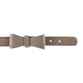 Load image into Gallery viewer, BOW TIE - DESERT MINT
