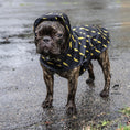 Load image into Gallery viewer, Pawgwarts Poncho - Southlake Paws
