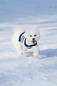 Load image into Gallery viewer, Sailor of My Heart Striped Turtleneck Sweater - Southlake Paws
