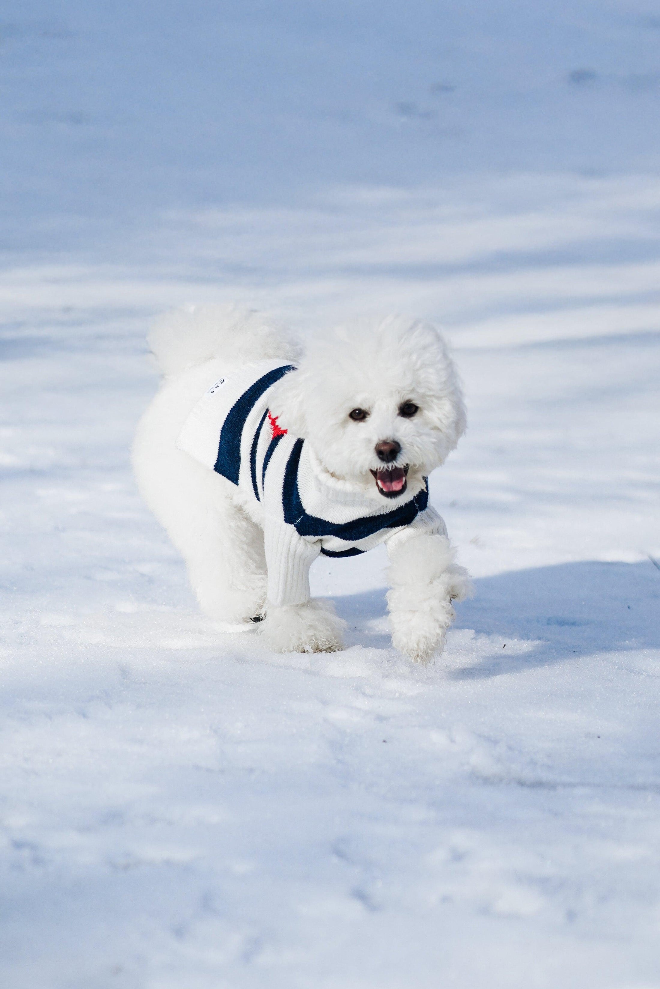 Sailor of My Heart Striped Turtleneck Sweater - Southlake Paws