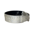 Load image into Gallery viewer, Stunning Silver Snake Classic Collar With Silver Classic Hardware
