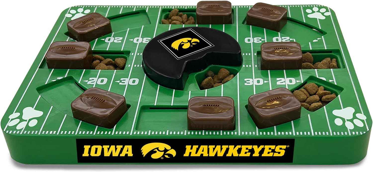 Iowa Puzzle Toy