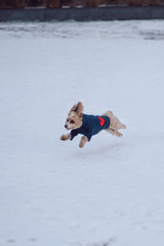Heart to Heart Button-Up Cardigan Sweater 