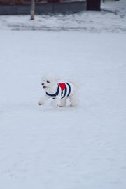 Sailor of My Heart Striped Turtleneck Sweater
