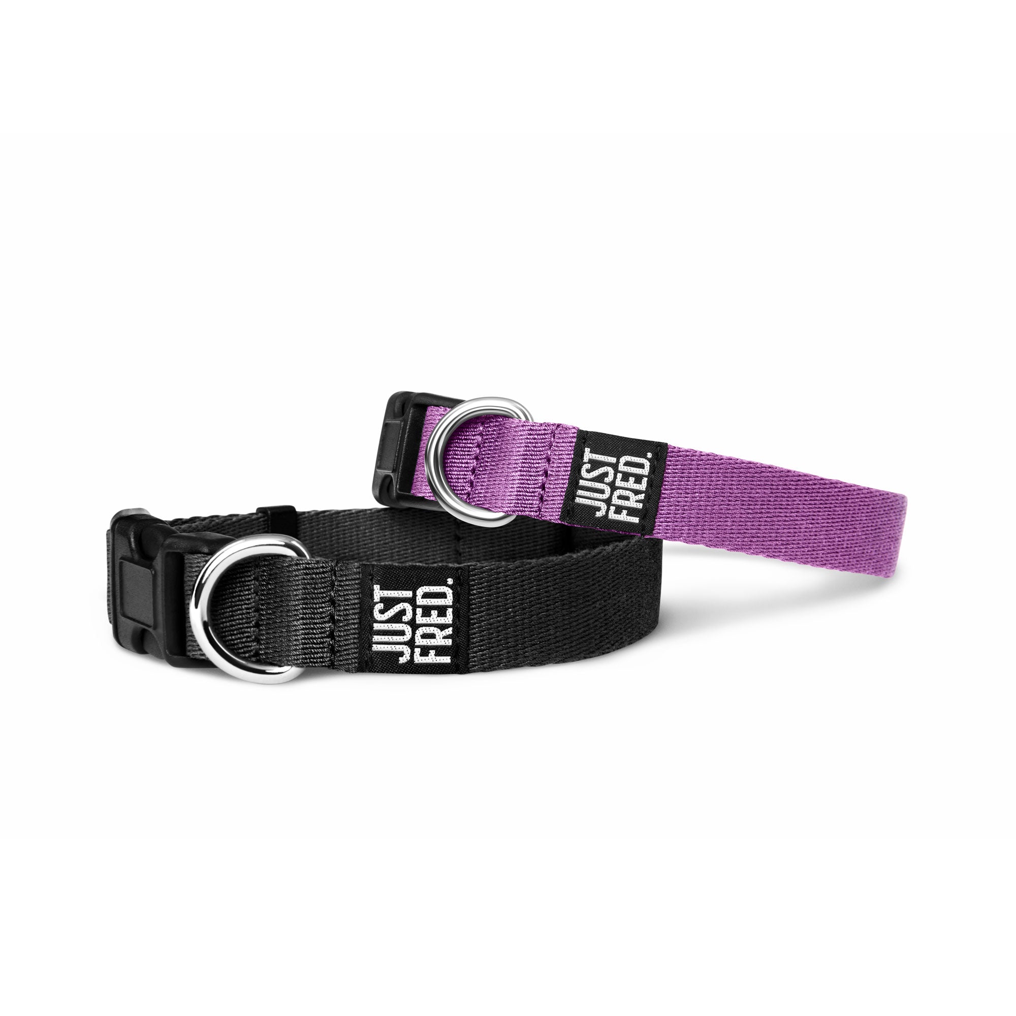 Dog Collar.