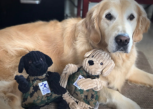 HuggleCause™, Warrior Canine Connection, Black Lab Luke Knottie® Plush Dog Toy, Large - image 9