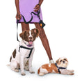 Load image into Gallery viewer, #2 Dog Harness Kit.

