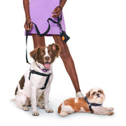 #2 Dog Harness Kit.