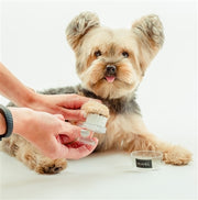 Face and Paw Brush by Dog Fashion Spa