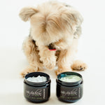 Semplice Leave-in Lotion 4oz by Dog Fashion Spa