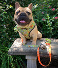 Load image into Gallery viewer, Wild Thing Reversible Harness - Southlake Paws
