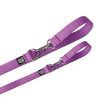 Dog Collar Kit.