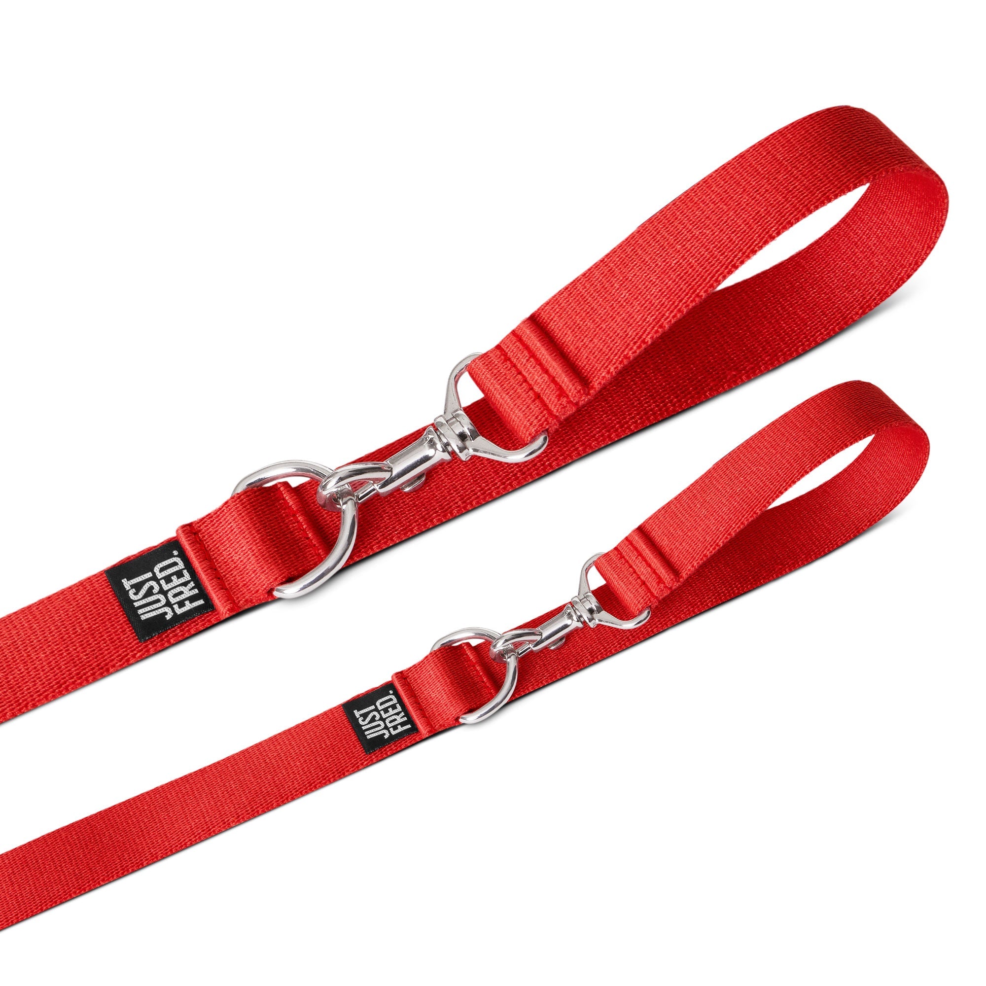 Dog Leash.