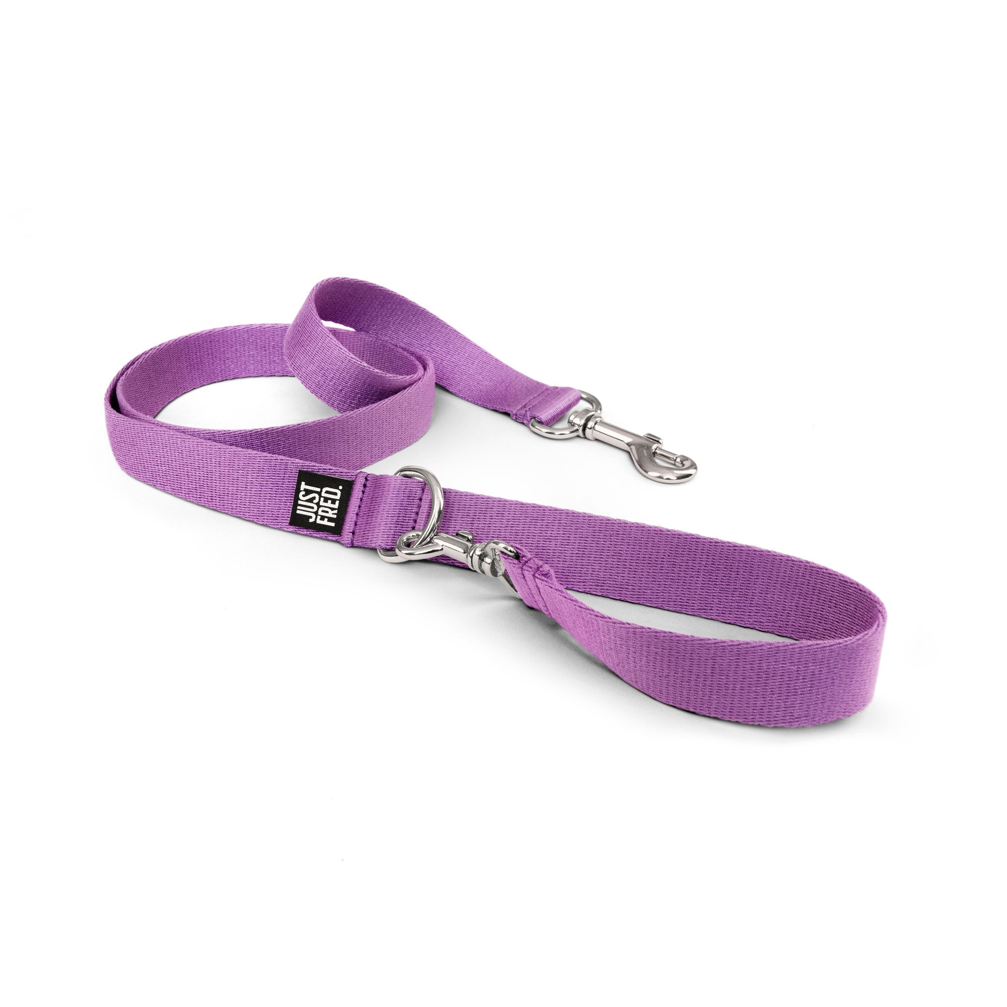 Dog Leash.