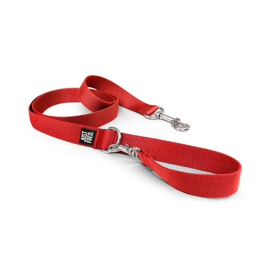 Dog Leash.