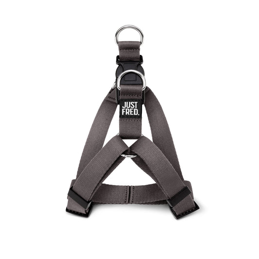 Step In Harness. 