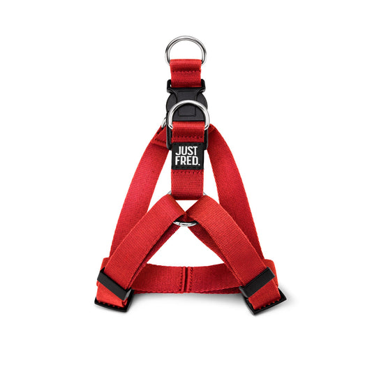 Step In Harness. 