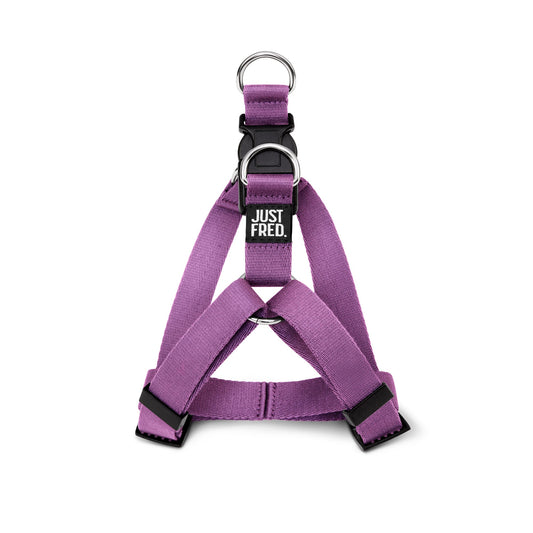 Step In Harness. 