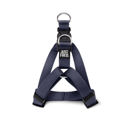 Step In Harness. 