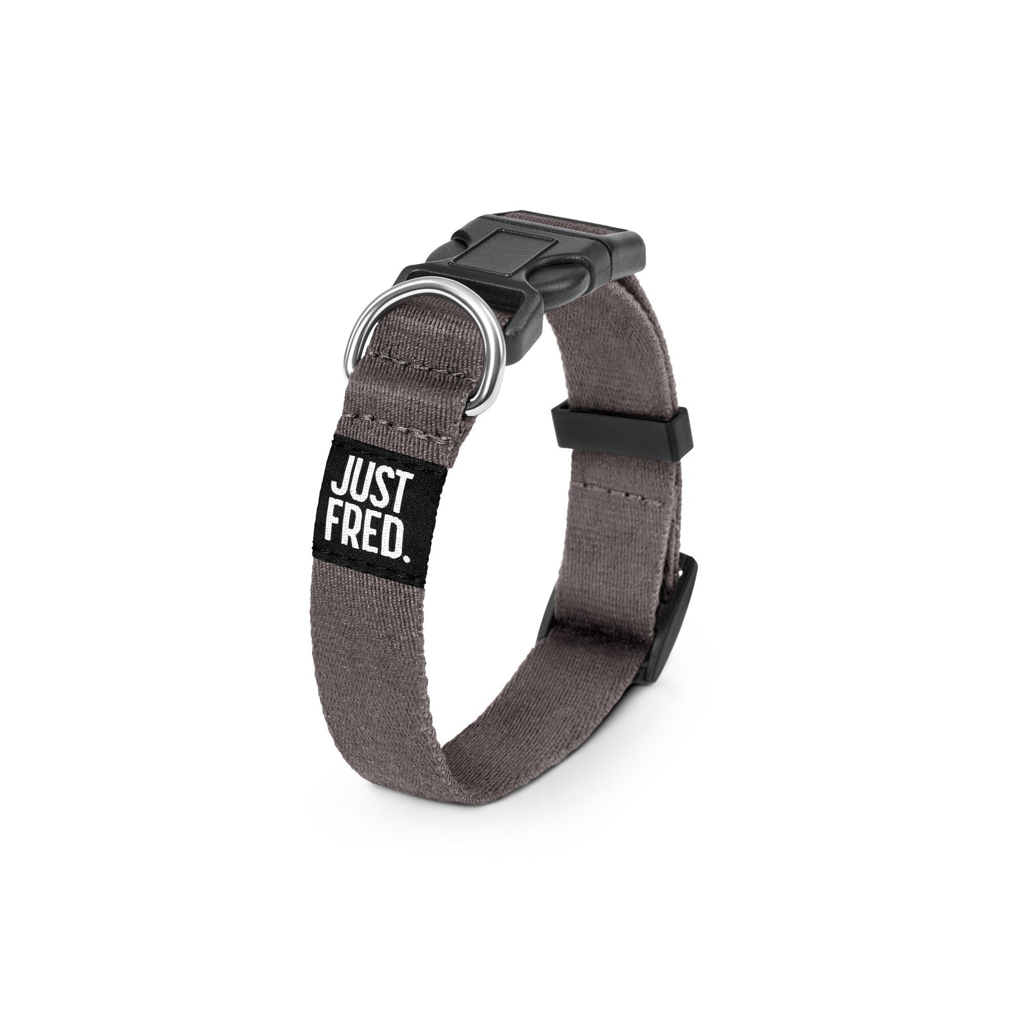 Dog Collar.