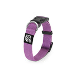 Dog Collar.