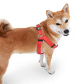 Load image into Gallery viewer, Step In Harness. 
