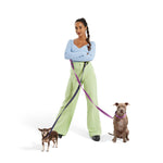Dog Leash.