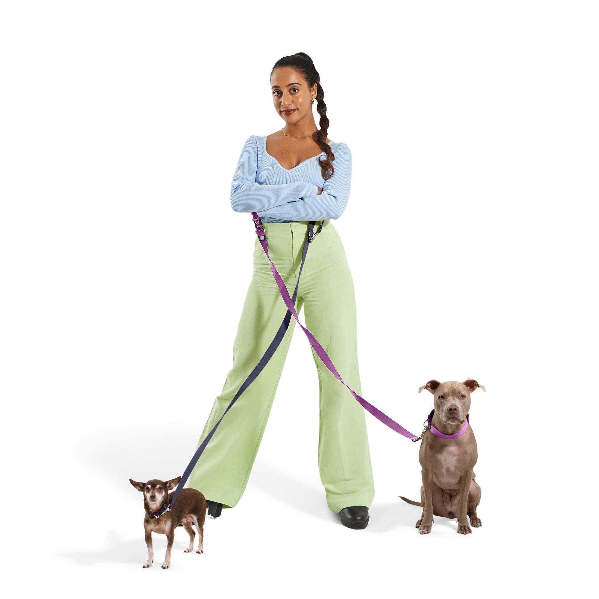 Dog Collar Kit.