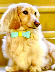 BOW TIE - SUNSHINE BABE