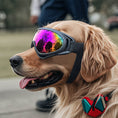 Load image into Gallery viewer, Dog Windproof Plastic Pet Glasses
