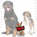 Load image into Gallery viewer, tuffy® Junior Bone2
