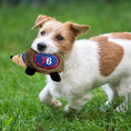 Load image into Gallery viewer, 76Ers Plush Hedgehog Toy
