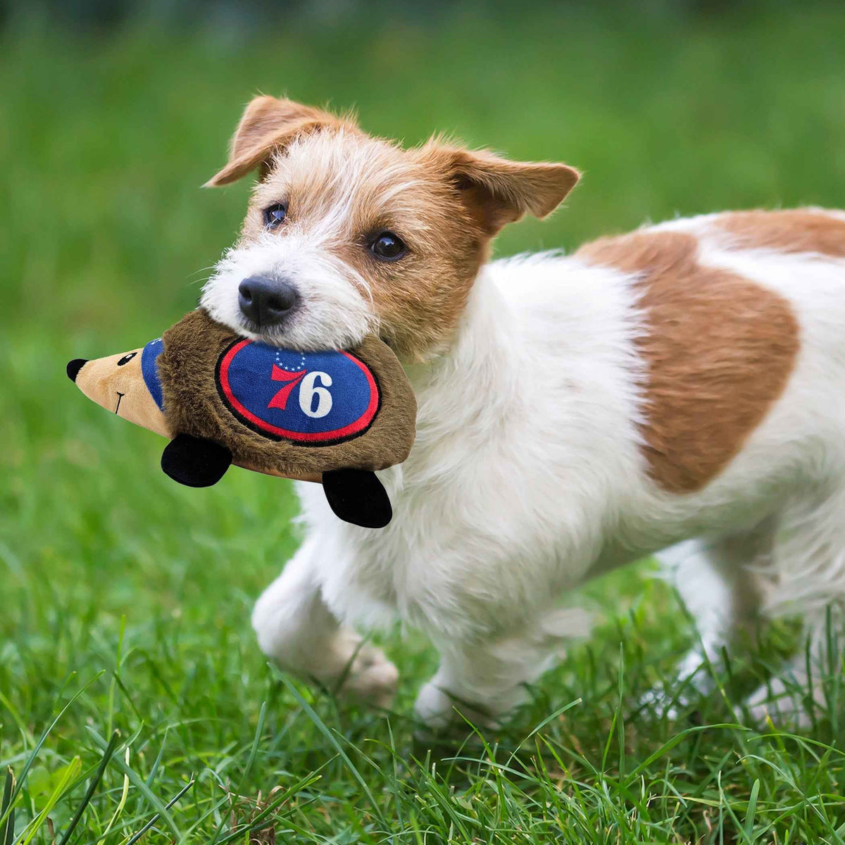 76Ers Plush Hedgehog Toy