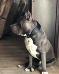 Load image into Gallery viewer, Plain "Style" Collar black
