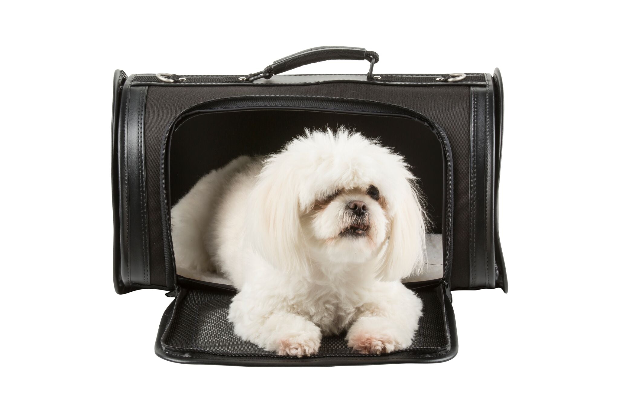KELLE Black Carrier