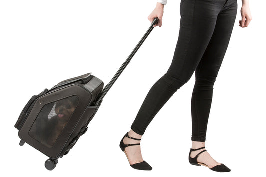 RIO Black Rolling Carrier 3 in 1 carrier! Airline Approved Carrier, Back Pack, and Car Seat!!