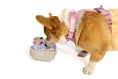 Load image into Gallery viewer, Painted Ladies Nose Work Dog Toy - Southlake Paws
