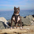 Load image into Gallery viewer, 'Bijou'' harness Black & Red for big dogs
