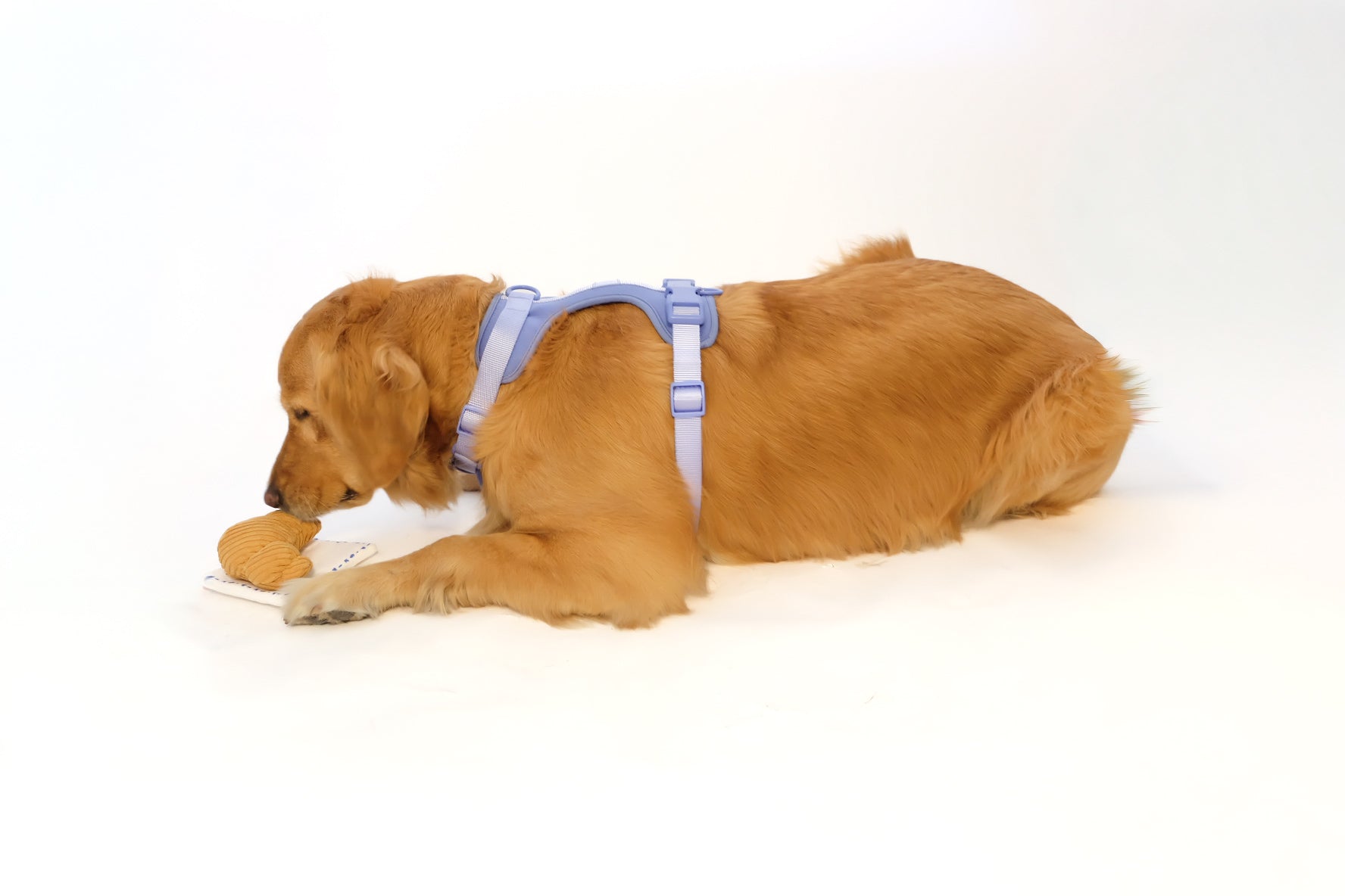 Croissant Nose Work Toy / Enrichment Toy - Southlake Paws
