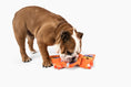 Load image into Gallery viewer, Aloha Nose Work Dog Toy - Southlake Paws
