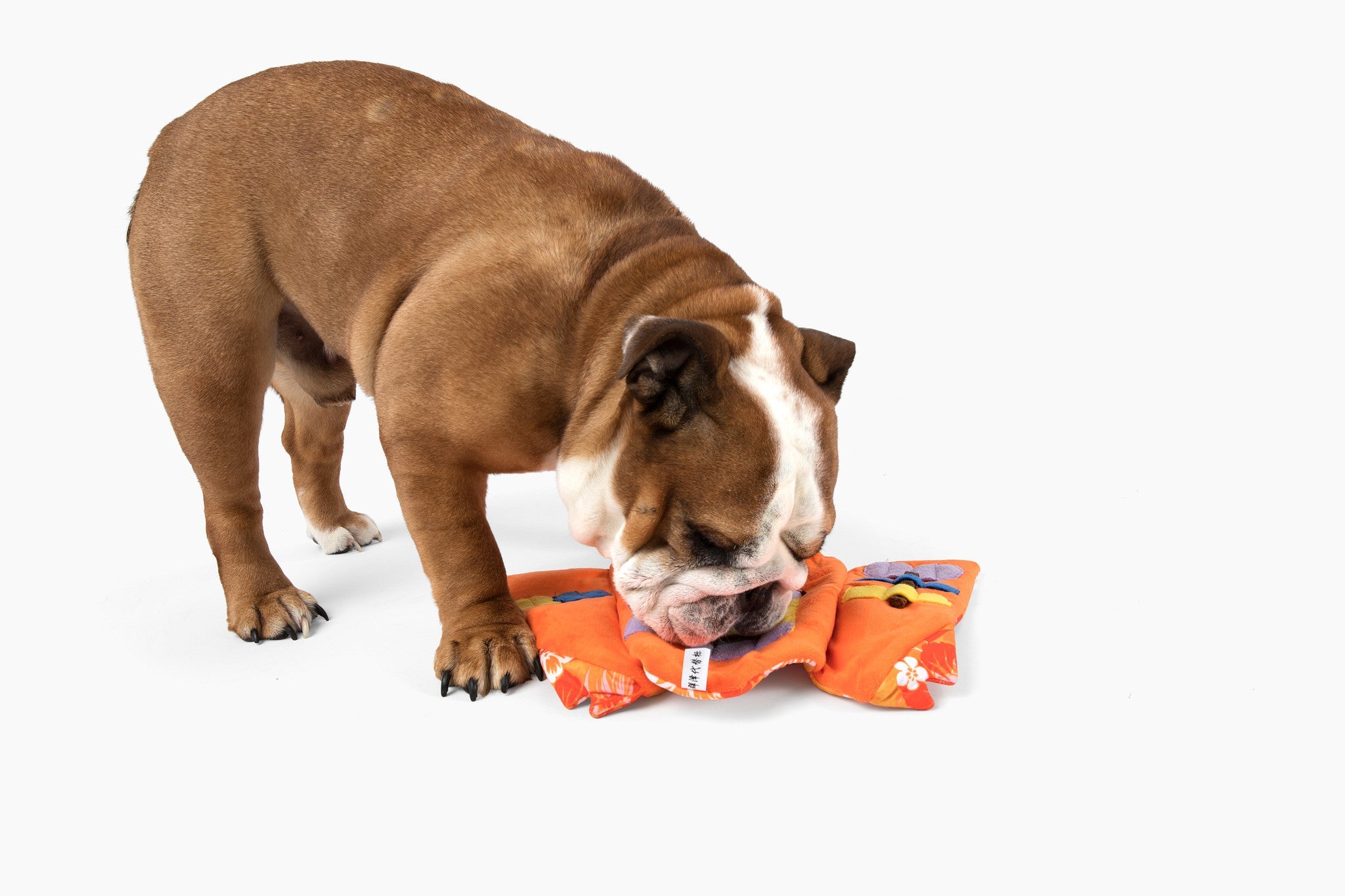Aloha Nose Work Dog Toy - Southlake Paws
