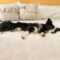 Load image into Gallery viewer, PupProtector™ Waterproof Throw Blanket - Polar White
