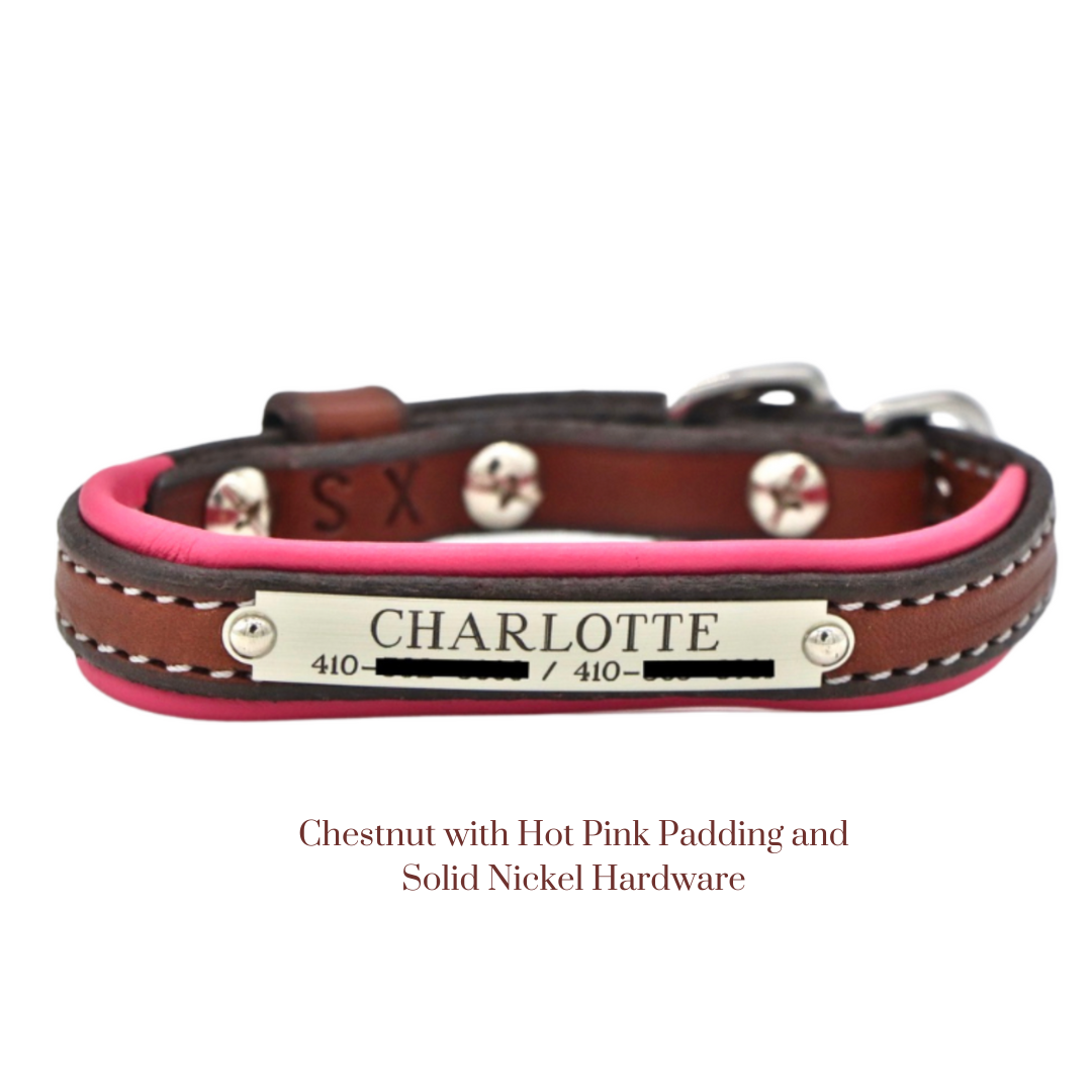 Padded Dog Collar - image 2