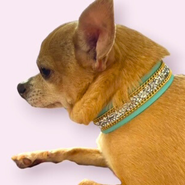 The Monte Carlo Collar in Sniffany Blue - image 7